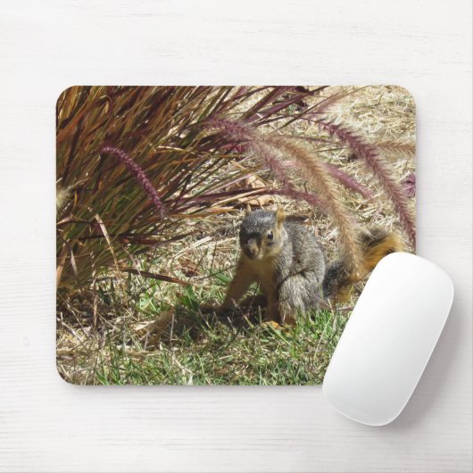 Mousepad - Eichhörnchen im Gras (Mit Mouse)