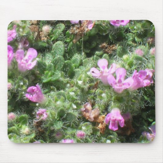 Mousepad - Elfin thyme (Vorne)
