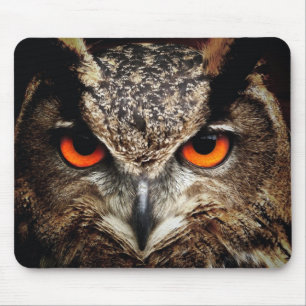 Mousepad - Eule