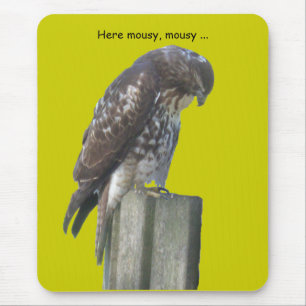 Mousepad - Falcon