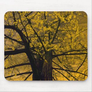 Mousepad Fall Gelbbaummalerei