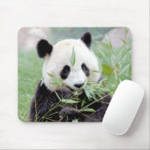 Mousepad. Foto Riesenpanda. Panda Geant. Mousepad (Mit Mouse)