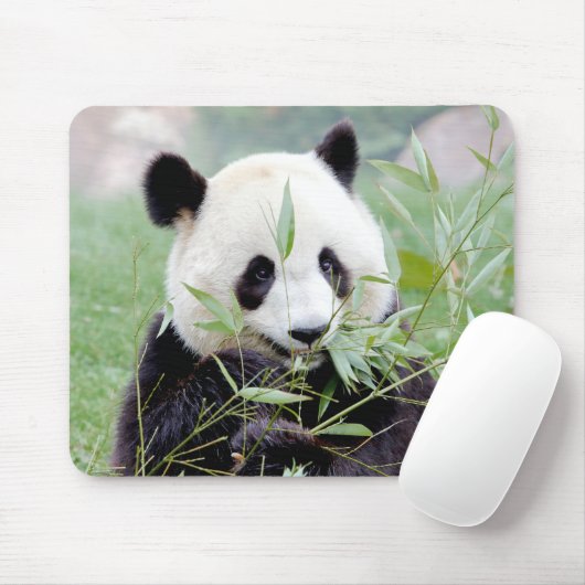 Mousepad. Foto Riesenpanda. Panda Geant. Mousepad (Mit Mouse)