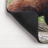 Mousepad. Foto roter Panda. Panda roux. Tiere. Mousepad (Ecke)