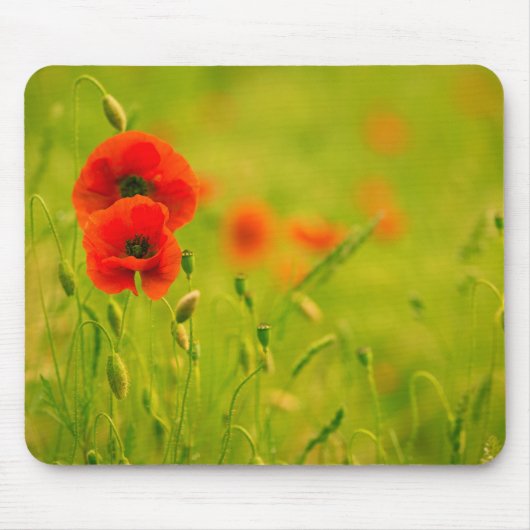 Mousepad, Frühling und Klatschmohnblumen Mousepad (Vorne)