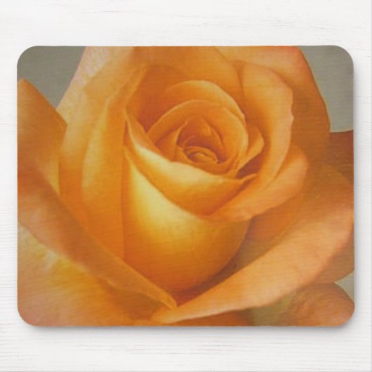 Mousepad gelb-orangee Rosen-Blume auf (Vorne)