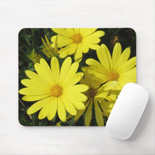 Mousepad - Gelbe Molsen (Mit Mouse)