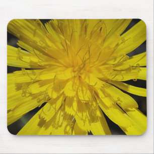 Mousepad gelbes Blütenzentrum