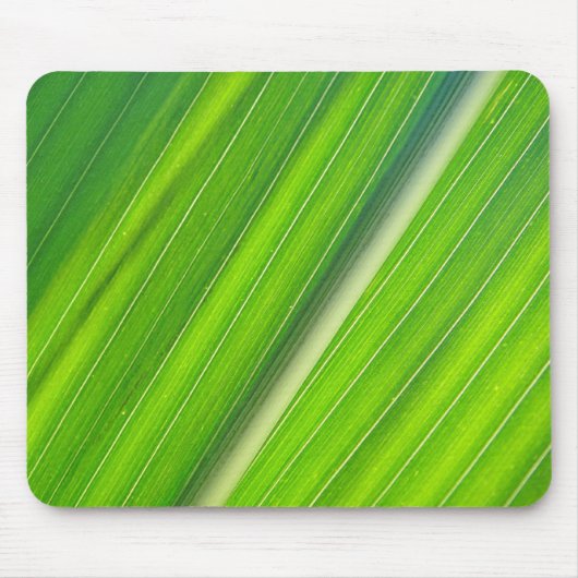 Mousepad hellgrünes Maisblattdesign (Vorne)