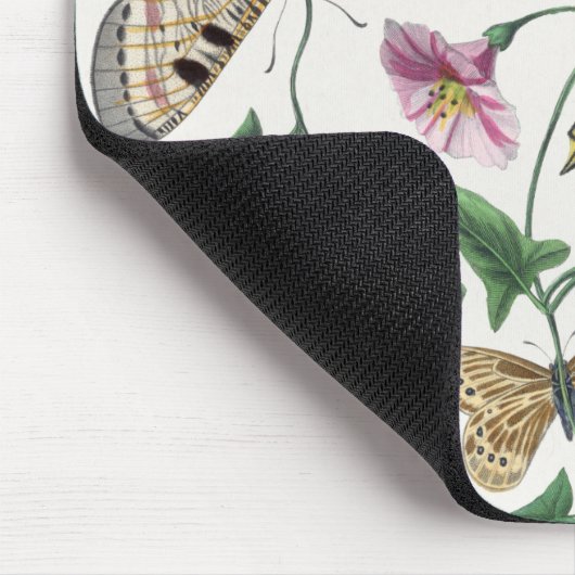 Mousepad Hübsch Butterfly Vitntage Illustration (Ecke)