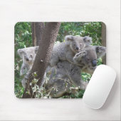 Mousepad Koala und Zwei Babys Foto Australien (Mit Mouse)