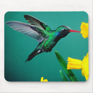 Mousepad-Kolibri Mousepad