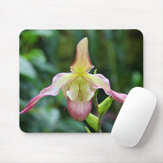 Mousepad - Ladyslipper (Mit Mouse)