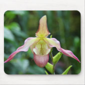 Mousepad - Ladyslipper (Vorne)