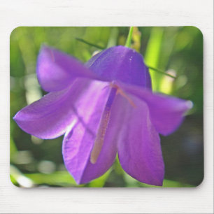 Mousepad lila Glockenblume