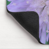 Mousepad lila Scabiosa (Ecke)