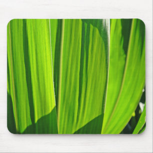 Mousepad Maisæ