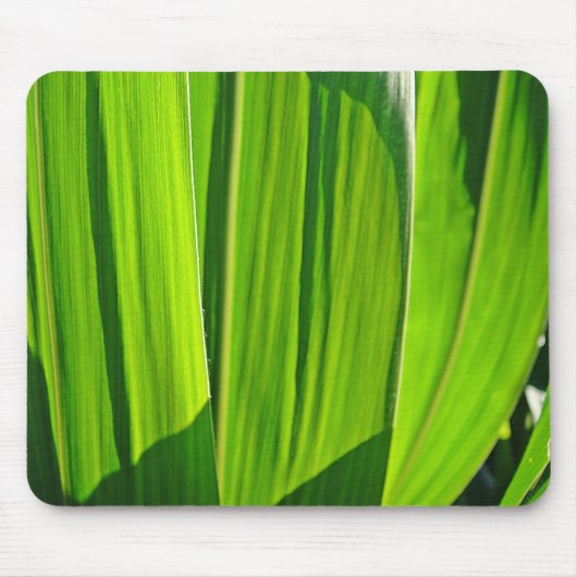 Mousepad Maisæ (Vorne)