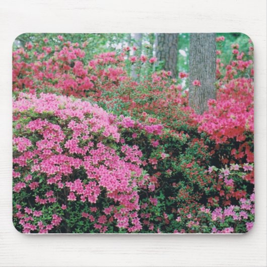 Mousepad mit einem Spray aus rosa Azaleen (Vorne)