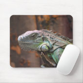 Mousepad mit farbiger Iguana-Eidechse (Mit Mouse)