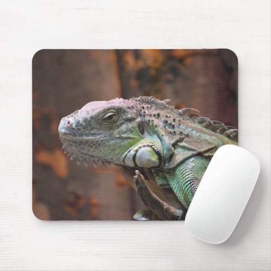 Mousepad mit farbiger Iguana-Eidechse (Mit Mouse)
