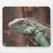 Mousepad mit farbiger Iguana-Eidechse (Vorne)