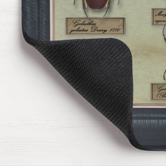 Mousepad mit Goliath-Käfern (Ecke)