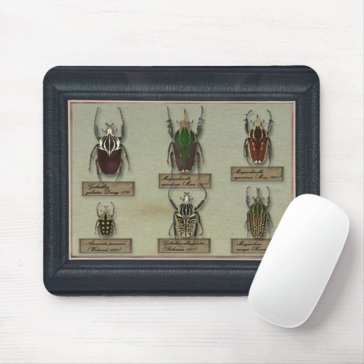 Mousepad mit Goliath-Käfern (Mit Mouse)