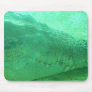 Mousepad mit grüner Gatorfläche