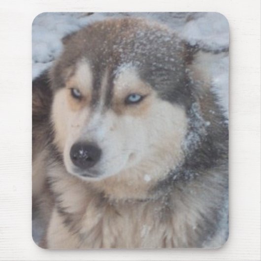 Mousepad mit Husky (Vorne)