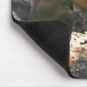 Mousepad mit niedlichen Murmeltierpaaren (Ecke)