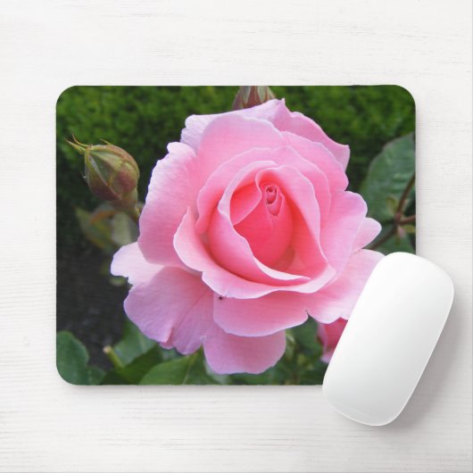 Mousepad mit schöner rosa Rose (Mit Mouse)