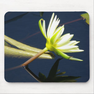 Mousepad mit weißer Wasserlilie