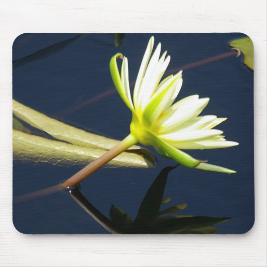 Mousepad mit weißer Wasserlilie (Vorne)