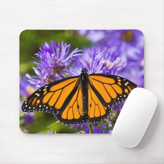 Mousepad Monarch-Schmetterling auf lila Astern (Mit Mouse)