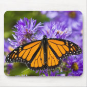 Mousepad Monarch-Schmetterling auf lila Astern (Vorne)