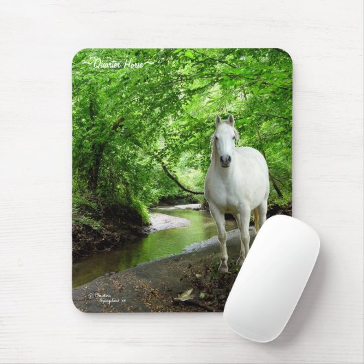 Mousepad - Mousepad-Wald (Mit Mouse)
