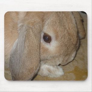 Mousepad oder Mousemat - ohriges zwergartiges