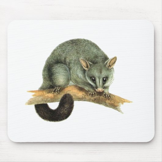 Mousepad - Opossum (Vorne)