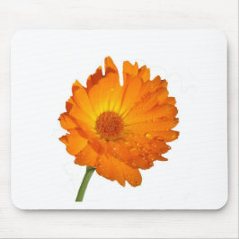 Mousepad - Orange-Blume auf Stem