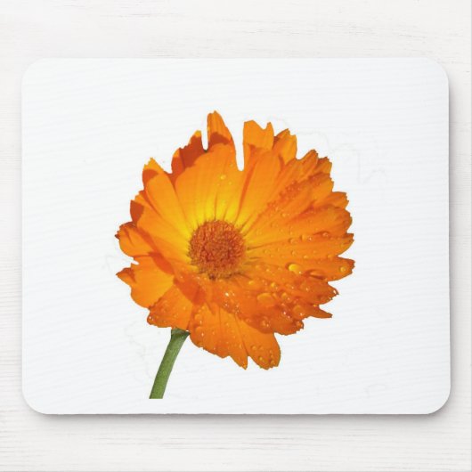 Mousepad - Orange-Blume auf Stem (Vorne)