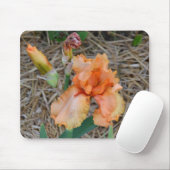 Mousepad - orange Iris (Mit Mouse)
