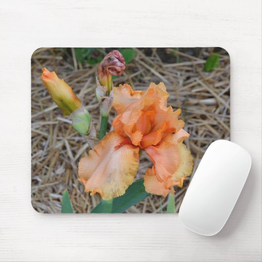 Mousepad - orange Iris (Mit Mouse)