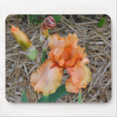 Mousepad - orange Iris (Vorne)