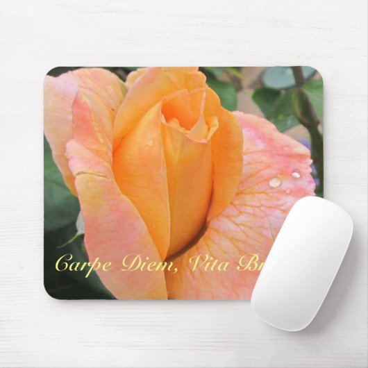 Mousepad--Orange Rose With Raindrops Mousepad (Mit Mouse)