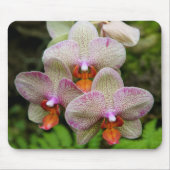 Mousepad - Orchidee (Vorne)