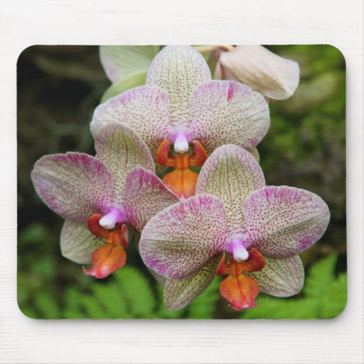 Mousepad - Orchidee (Vorne)