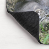 Mousepad - Pallass Katze (Ecke)