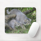Mousepad - Pallass Katze (Mit Mouse)