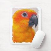 Mousepad - Papagei Sun Conure (Mit Mouse)